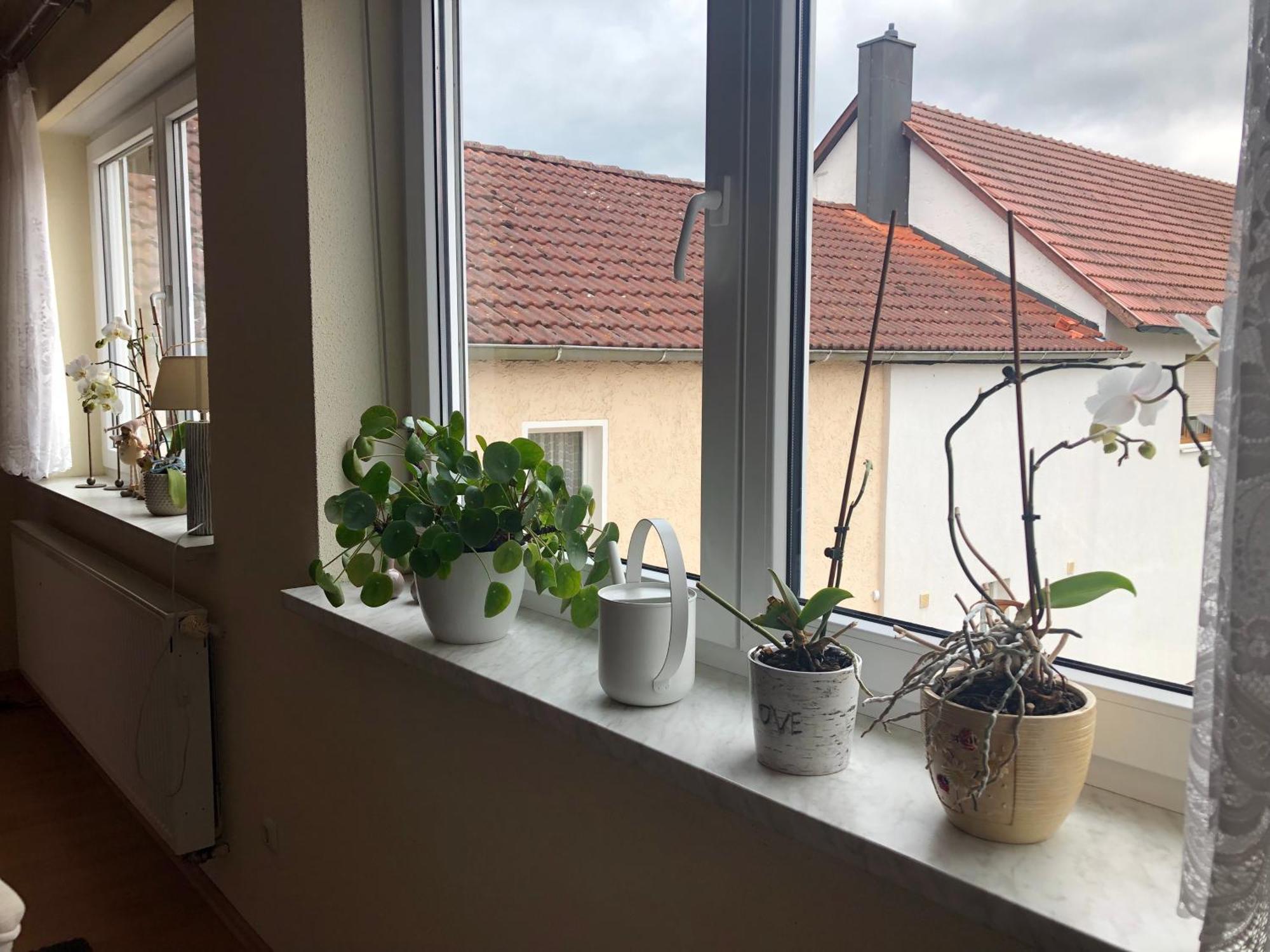 Ferienwohnung Am Gruenen Band Hellingen Zewnętrze zdjęcie